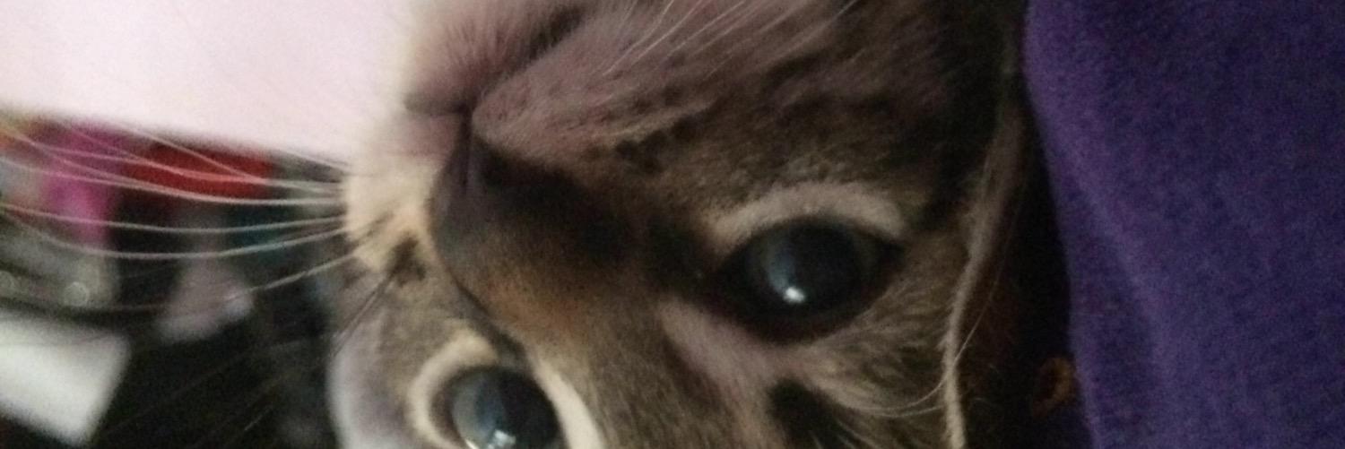 karinalpzg's profile banner image