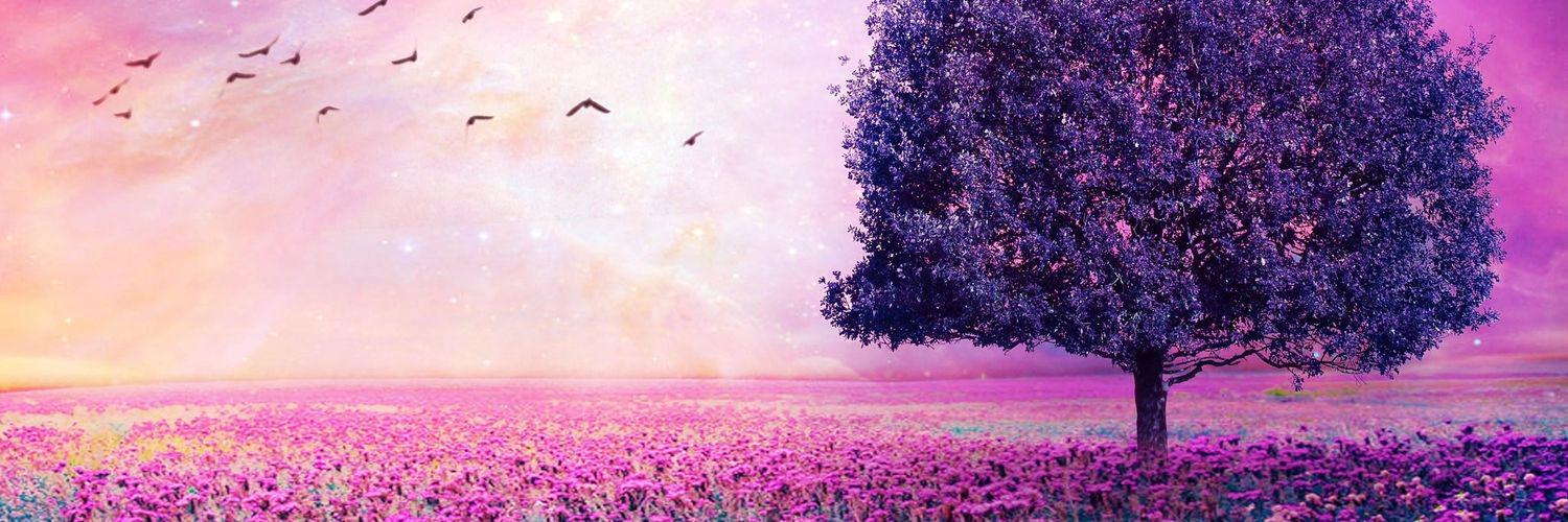 stephannie611's profile banner image