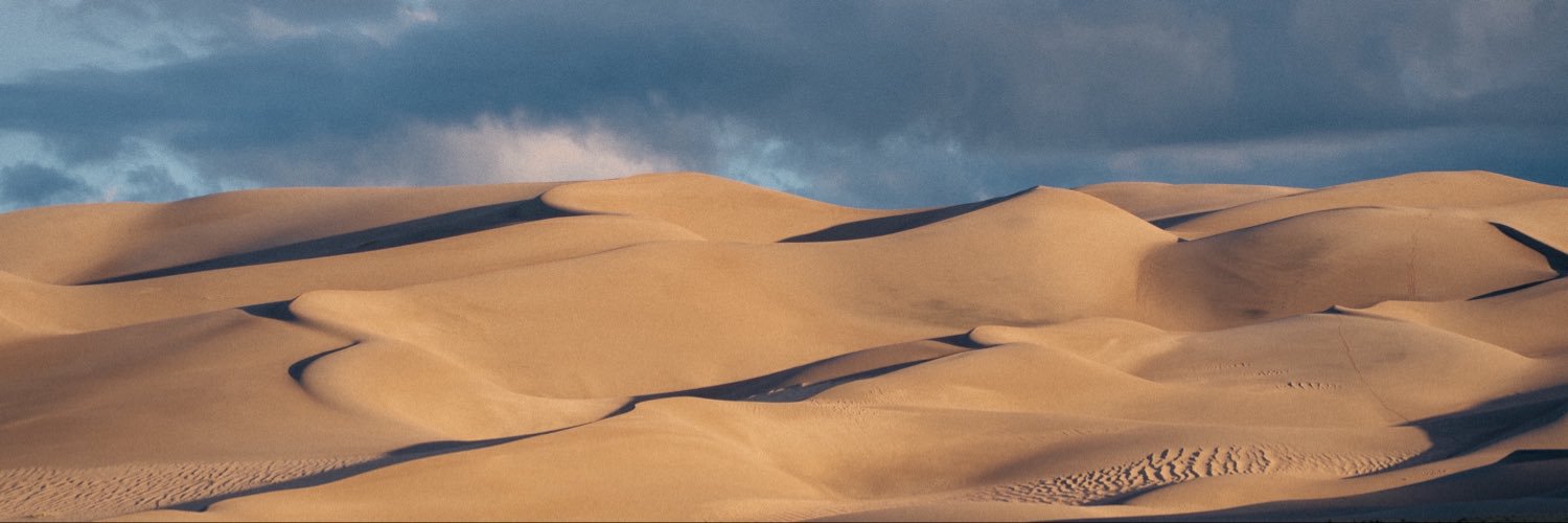 beauzachowski's profile banner image