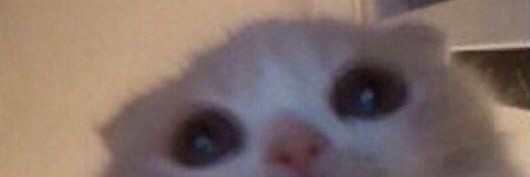 bfunni_'s profile banner image