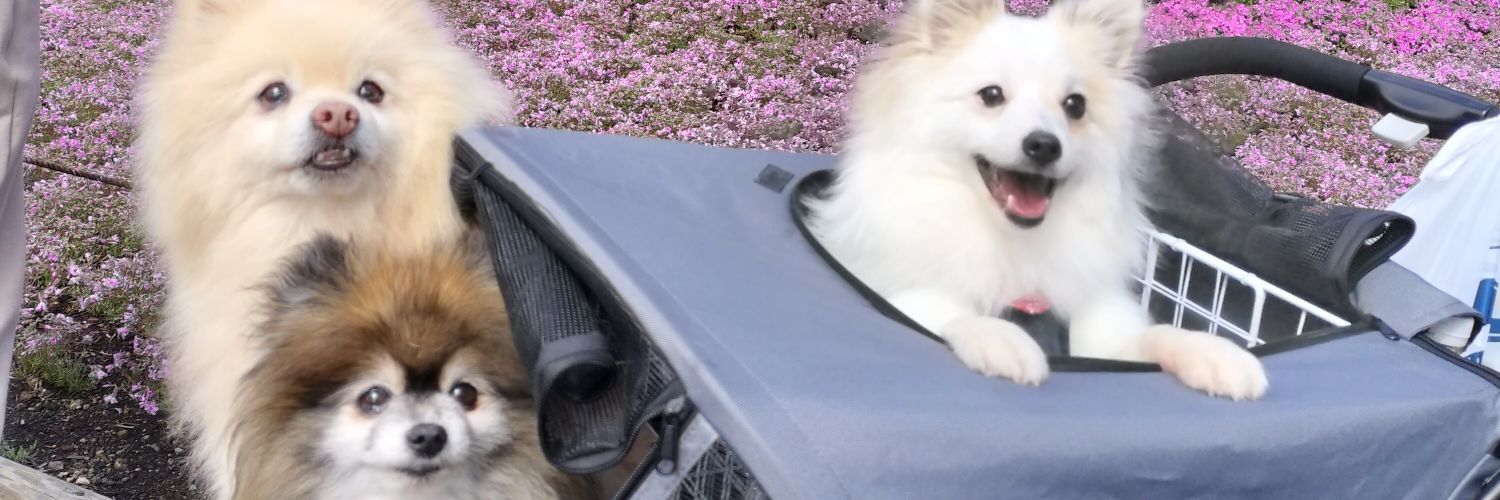 cnburning515's profile banner image