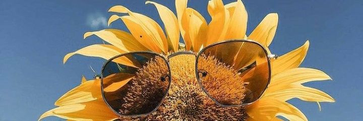 MonicaBugar's profile banner image