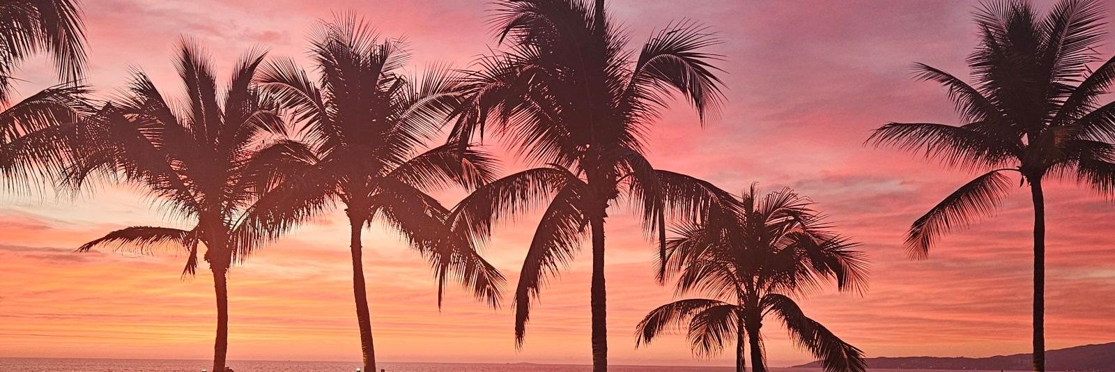 Sweet-n-Spicy banner