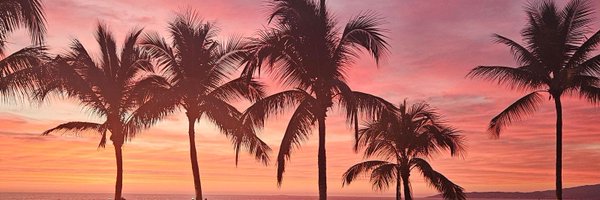 Sh0rt1eK Profile Banner