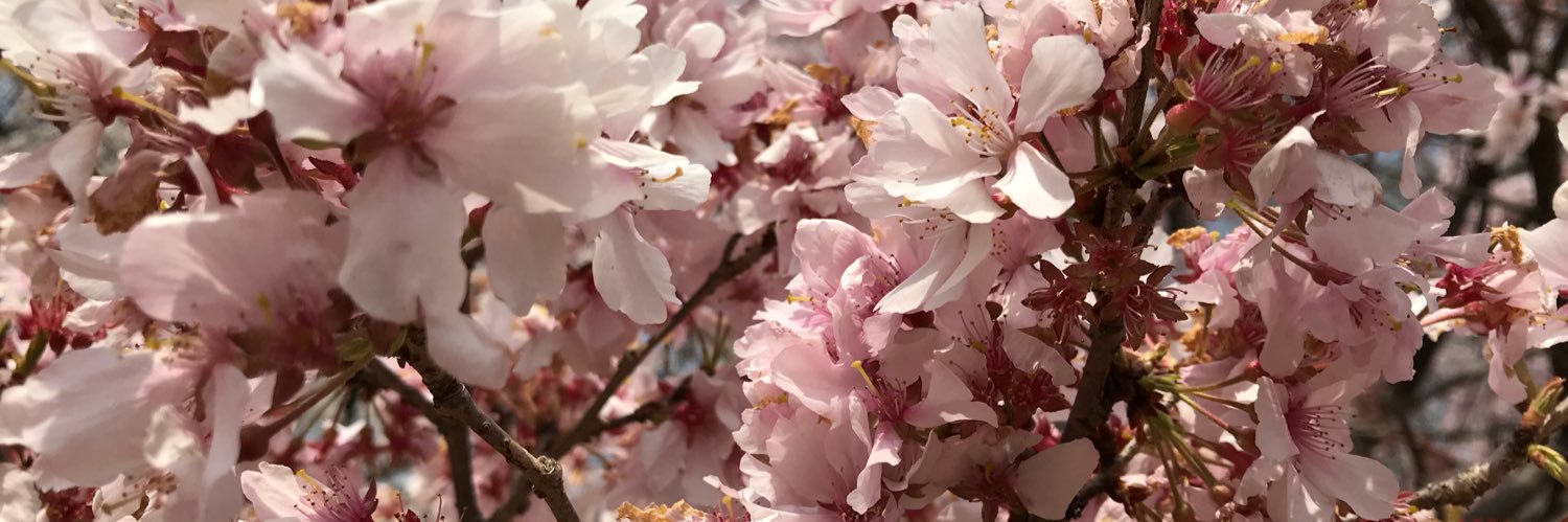 _heathie_'s profile banner image