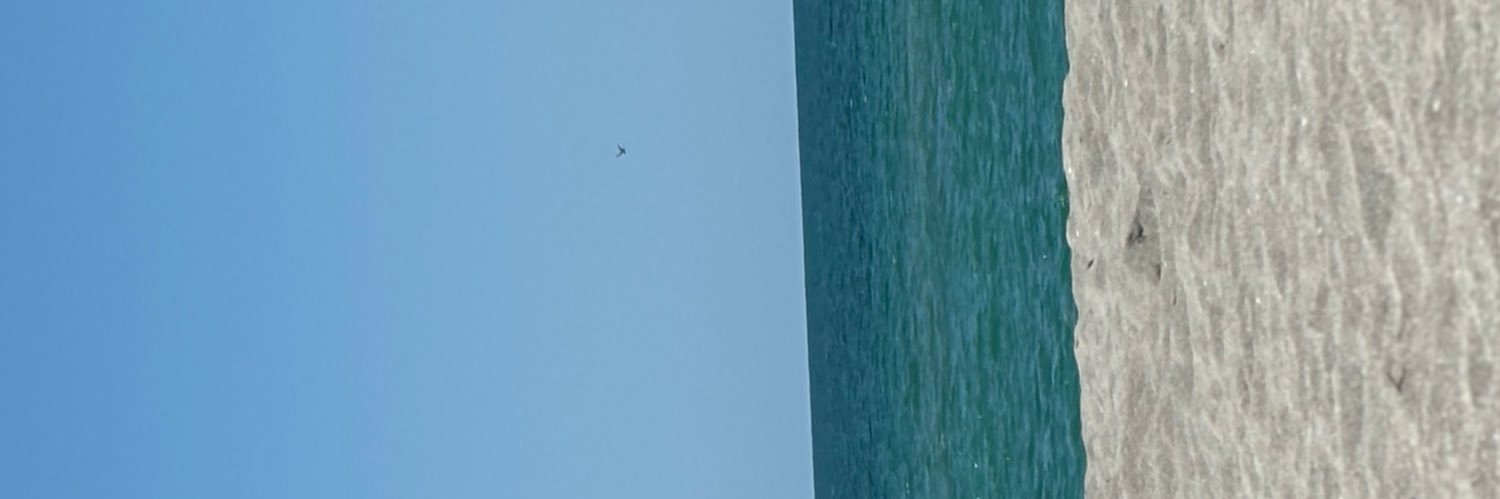 Red Cardinal banner