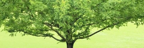 paulus1616's profile banner image