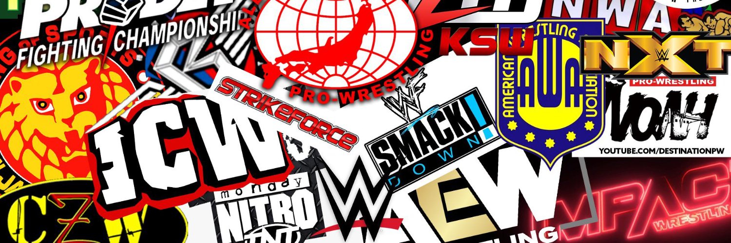 The Wrestling Friends's banner