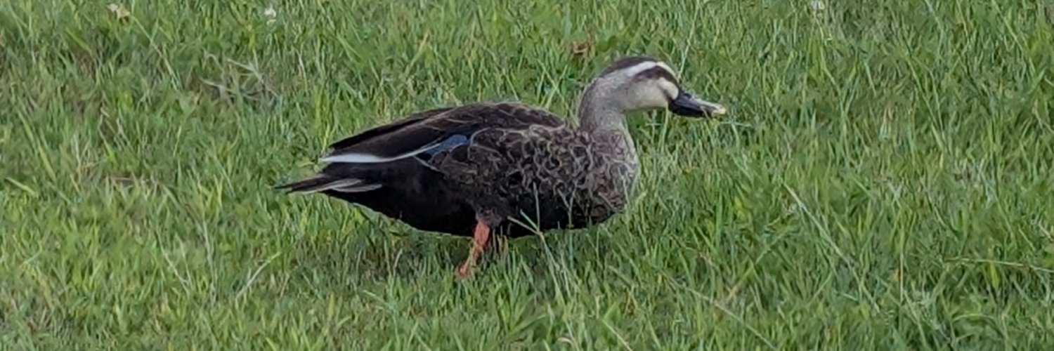 ymtk｜Takahiro YAMAGUCHI banner