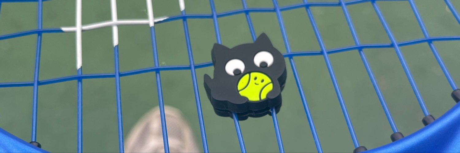 Nindyall's profile banner image