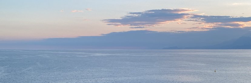 F. 🤍🤍🕊️ banner