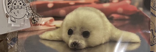 tappuriseal Profile Banner
