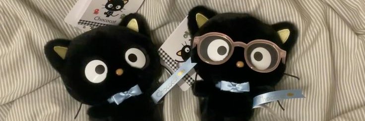 sunferx's profile banner image