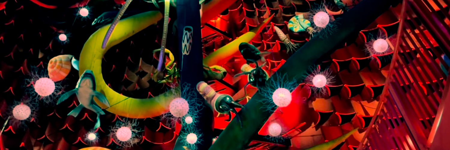 Marc Fernandez banner