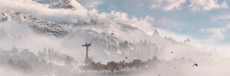 Zero Dawn 🏹🩶 banner