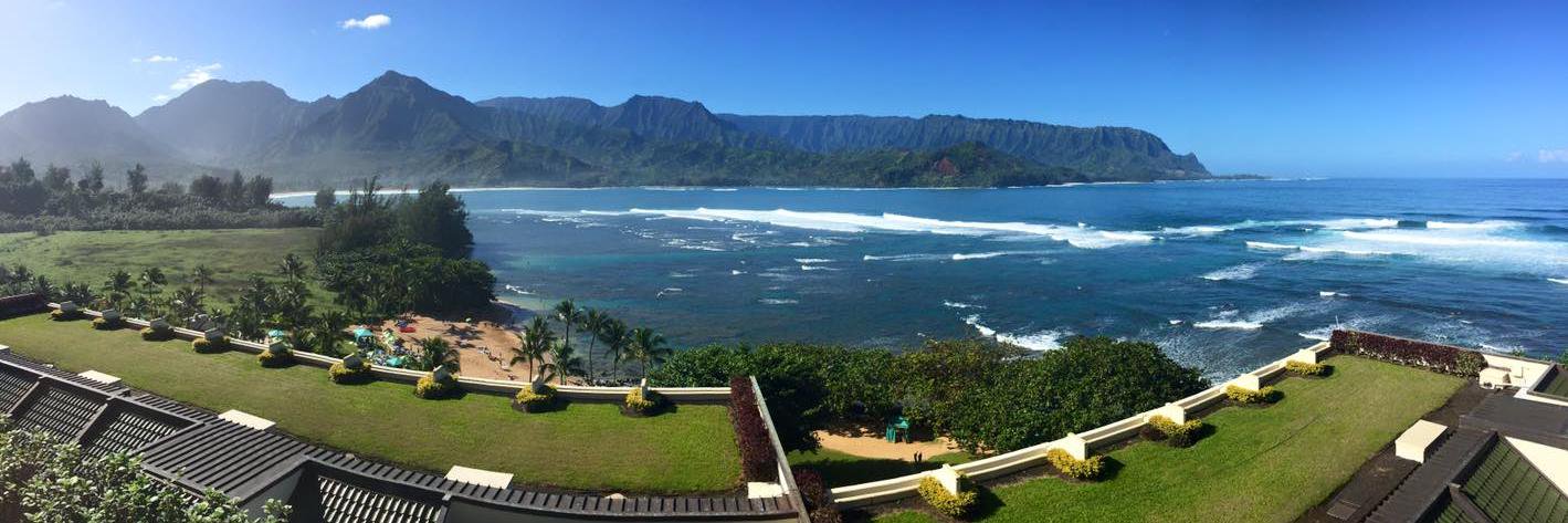 Kelly Musgrave banner