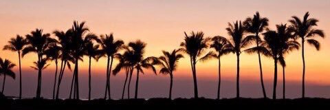 Sheryce95's profile banner image