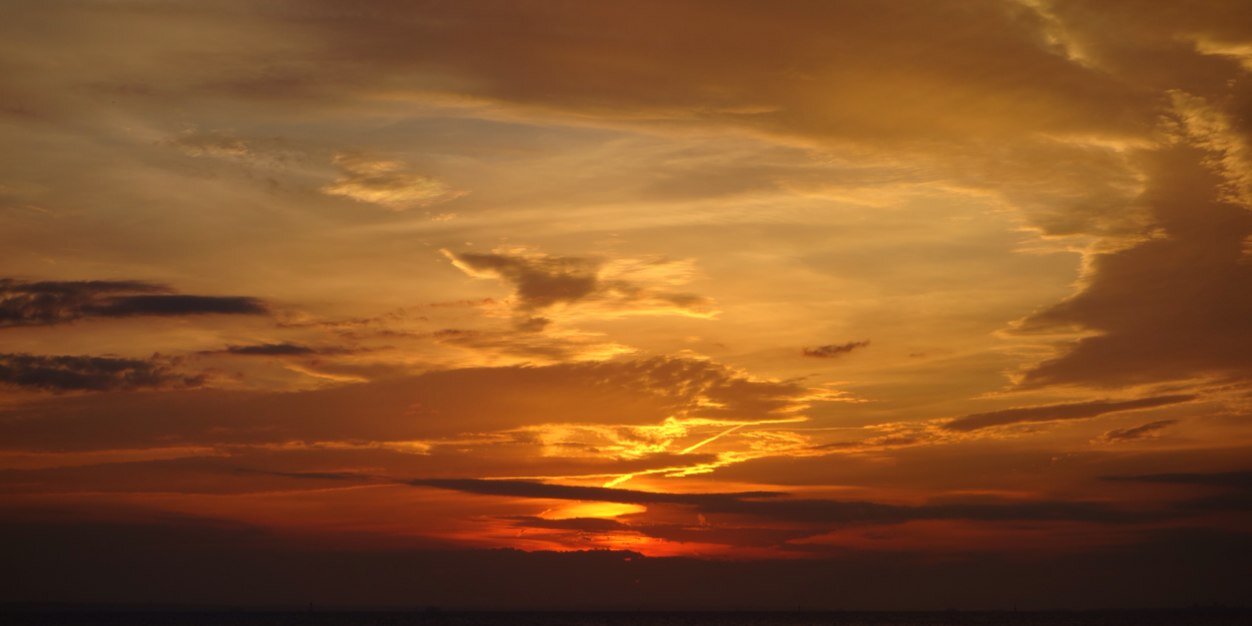 Joe Vitagliano banner