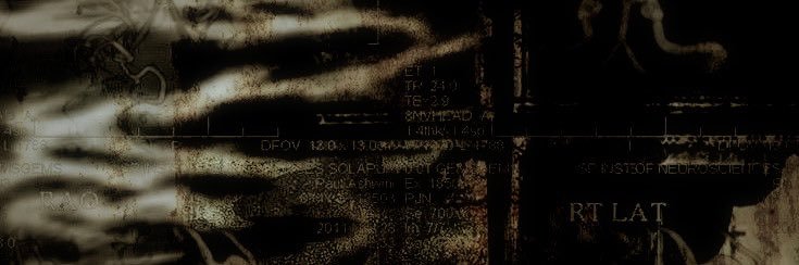 ‍ ‎𓆩 ‍ 𝒔͟𝐜͟𝐚͟𝐫͟𝗹𝗲𝘁 ‍ ╱ ‍ 𝓼𝐮𝐧𝒓𝒊𝒔𝒆. banner