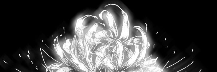 ♡ ⑅ carrot. ʚ ɞ banner