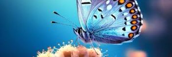 reem_dps Profile Banner