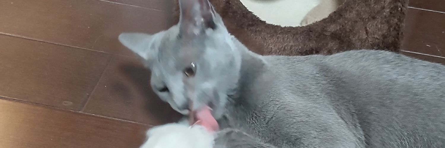 ・ω・ムイ 🐱ねこのために生きている banner