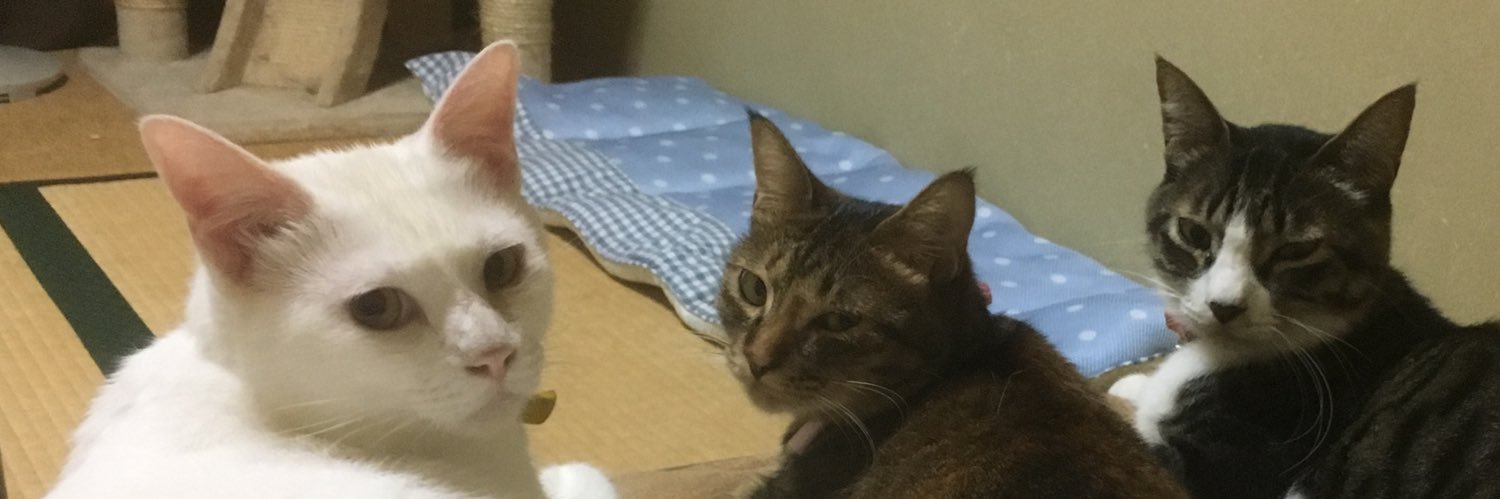 つばき banner