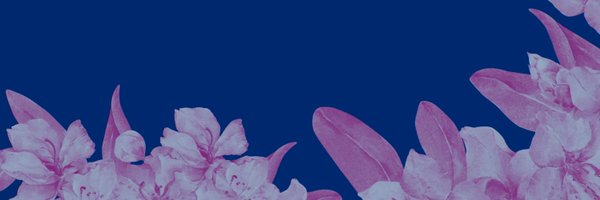 ws_rhodiesfc Profile Banner
