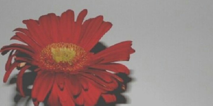 trky22150's profile banner image