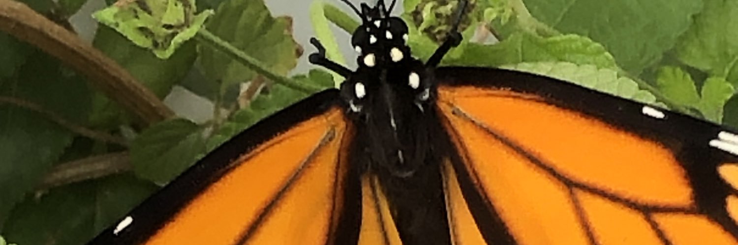 bressner's profile banner image