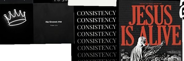 dani_crypt Profile Banner