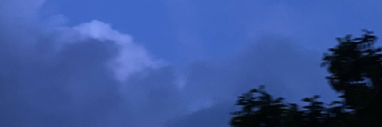 KI's banner