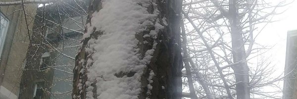 AdaptiveClarity Profile Banner