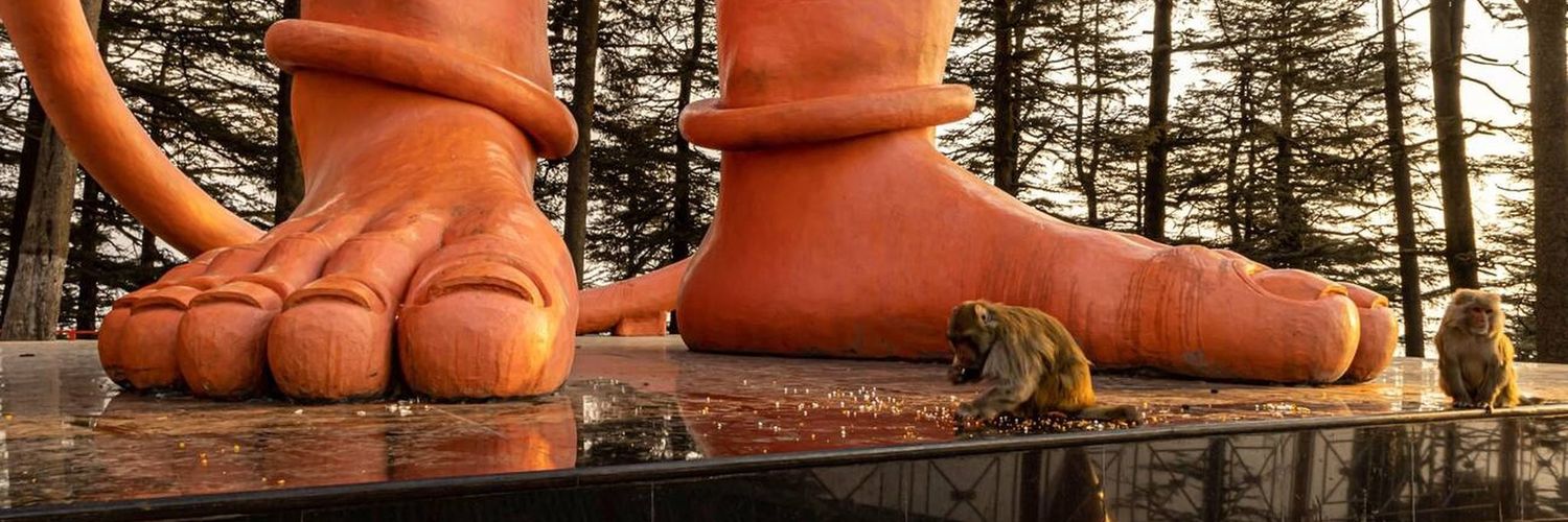 SmoothOperator banner