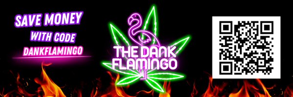 thedankflamingo Profile Banner