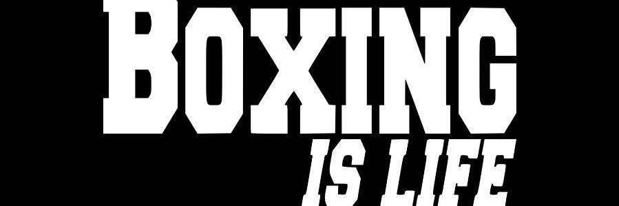 Boxingz Center's banner