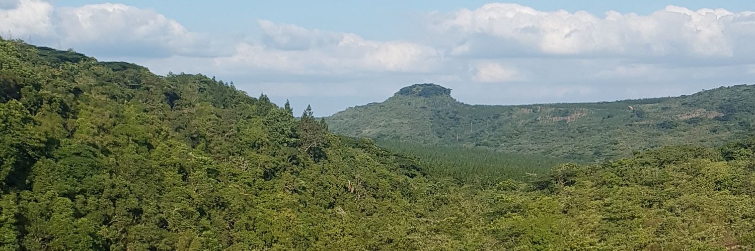 Tyder_28's profile banner image