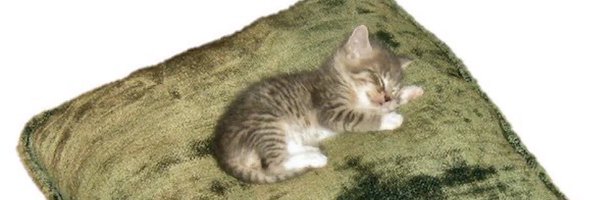 2ndmovem3nt Profile Banner