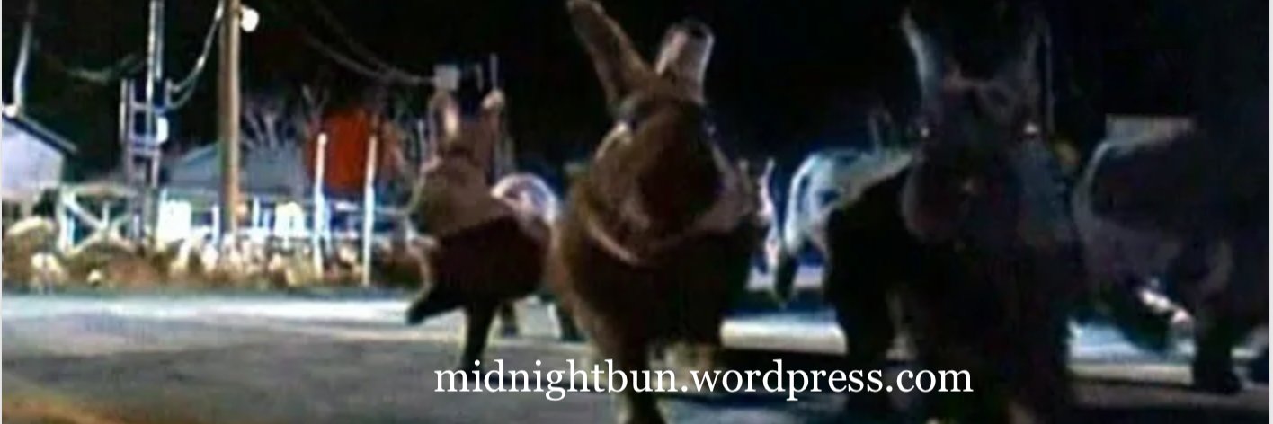 midnightbunny's profile banner image