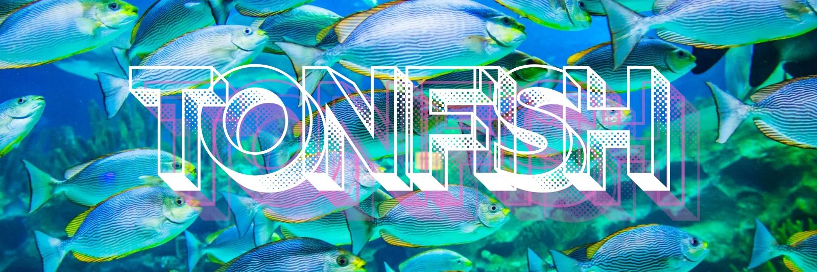 TON_FISH FANS (@JnrUssy) / Posts / X