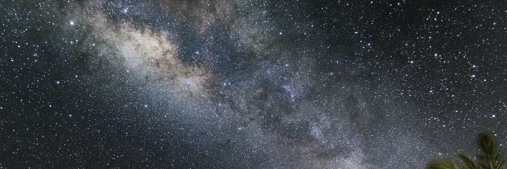ʄɛʀռɦǟʍ 林檎🐈‍⬛🍀🥂🌌🇵🇸 banner