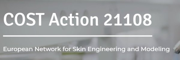 NETSKINMODELS Profile Banner