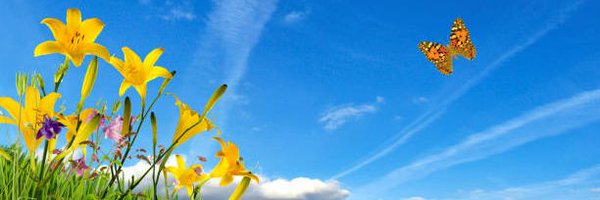 lalit99698 Profile Banner
