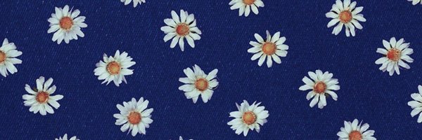 dorusera Profile Banner