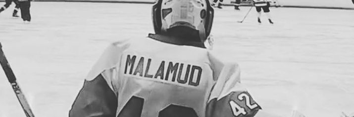 Slava Malamud's banner