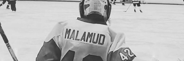 SlavaMalamud Profile Banner