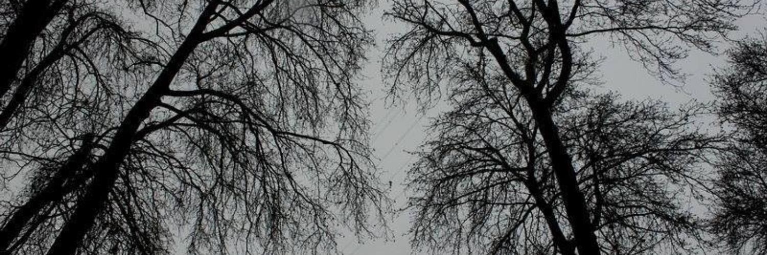 sndenolan's profile banner image
