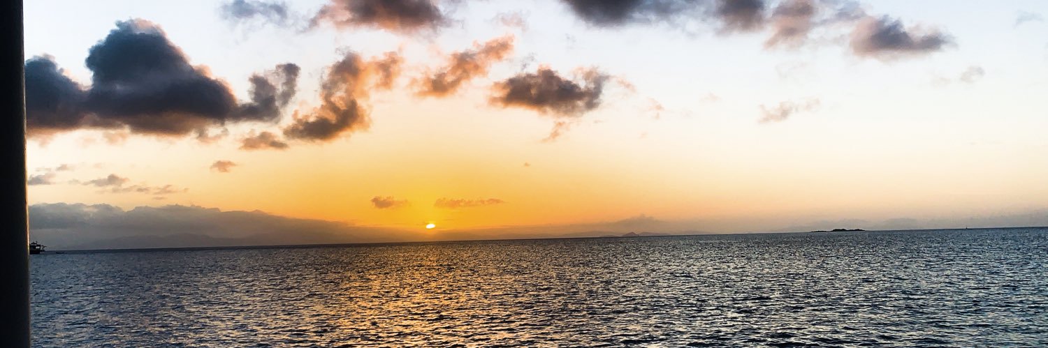 megrose0's profile banner image