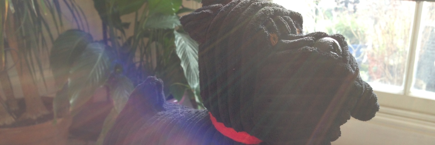 bobcine's profile banner image