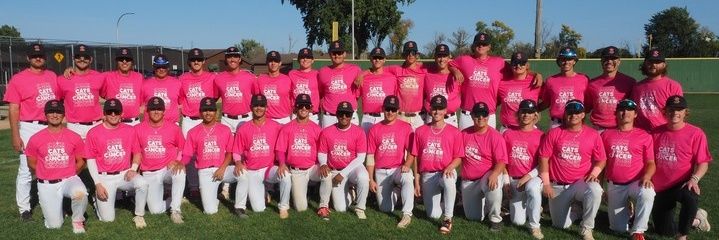NDSCS Baseball banner